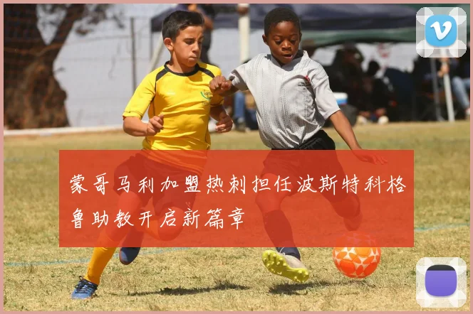 蒙哥马利加盟热刺担任波斯特科格鲁助教开启新篇章