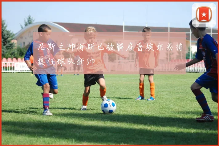 尼斯主帅海斯已被解雇普埃尔或将接任球队新帅