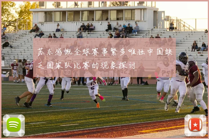 苏东感慨全球赛事繁多唯独中国缺乏国家队比赛的现象探讨