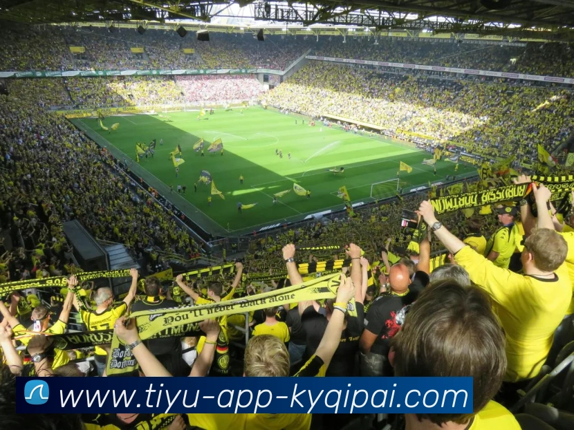 开元棋牌平台生态图