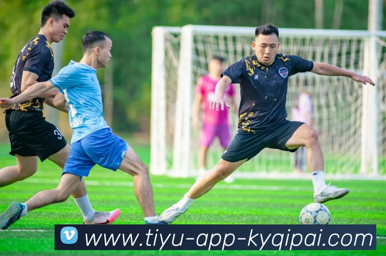 开元棋牌APP 封面图